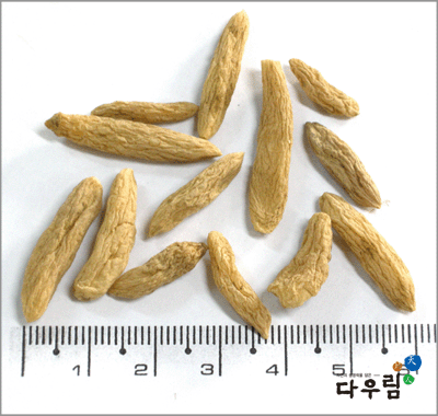 맥문동(당).1kg